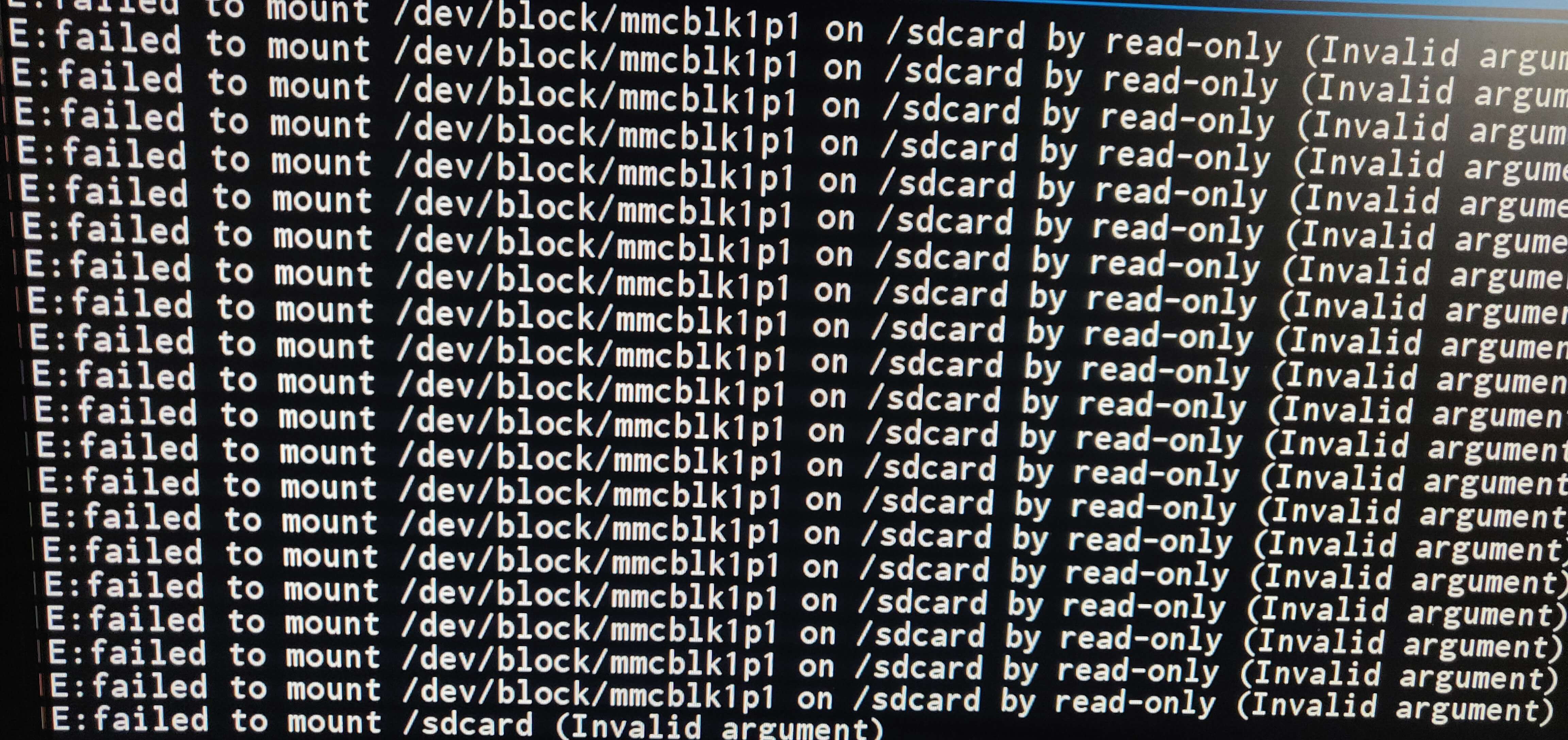 A terminal window displaying lots of errors on an SD Card. Bugs, bugs bugs.